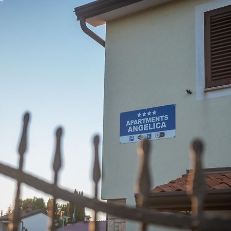 Apartments Angelica 1 Novigrad  Екстер'єр фото